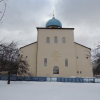 Зябликово, Похвалы Божией Матери (строящаяся) в Зябликове, церковь :: Александр Качалин