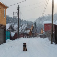 День первый. Чемал :: Валерий Михмель 