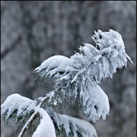 Перегрузка :: Александр Тарноградский