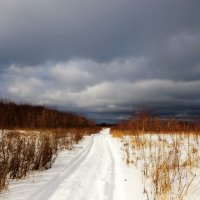 Зимняя дорога :: Андрей Снегерёв