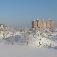 Здание новой поликлиники :: Андрей Макурин