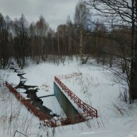 Скромное обаяние февраля :: Андрей Лукьянов