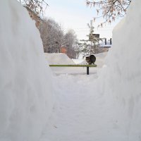 Ну наконец-то дворник дорожки почистил! ) :: Андрей Заломленков (настоящий) 