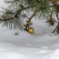 Засыпало снегом по самые шарики :: Валерий Иванович