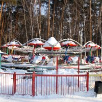 В зимнем парке. :: Евгений Шафер