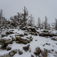 Хмурый снежный день. :: Константин Шабалин