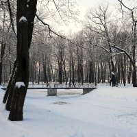 Лопухинский сад :: Наталья Герасимова