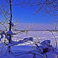 Снежные фигуры февраля! :: Владимир 