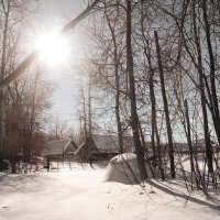 Яркий свет февраля... :: Андрей Заломленков (настоящий) 