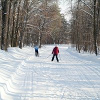 На лыжных трассах февраля.. :: Андрей Заломленков (настоящий) 