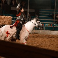 Замок в Сукко. Рыцарский турнир :: Любовь Перевозникова