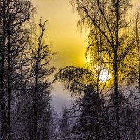 Зимнее солнце. :: Петр Беляков