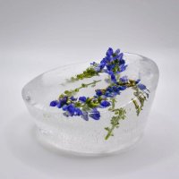 Цветы во льду :: Константин Мустяц