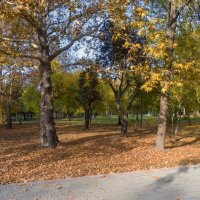 Осень в Гагаринском  парке :: Валентин Семчишин