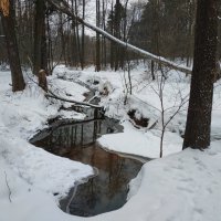 Продолжение сезона ЧБ фотографии :: Андрей Лукьянов