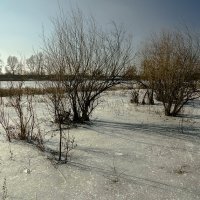 Зима на реке :: Петр Фролов