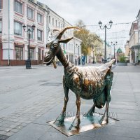 Веселая Коза на Большой Покровской :: Юлия Батурина