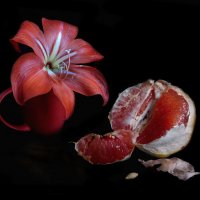 Натюрморт с грейпфрутом. :: Nata 