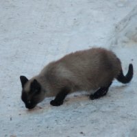 Заводской :: Сергей Уткин