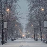 Вечерние сумеррки в зимнем парке :: Константин Бобинский