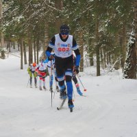 Из лыжных гонок. :: Евгений Седов