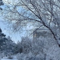 Зима в городе :: Нина Колгатина 