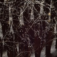 Молнии в темном лесу. :: Станислав Мутовин