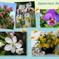 Здравствуй, Весна! :: Татьяна Смоляниченко