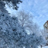 Зима в городе :: Нина Колгатина 