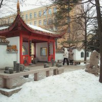 Китайский дворик (Сад дружбы) в Санкт-Петербурге :: Магомед .