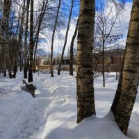 Первый день весны :: Андрей Лукьянов