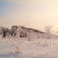 Утро красит нежным светом... :: Андрей Заломленков (настоящий) 