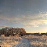 Зимний день. :: Алексей Мамаев