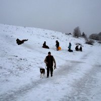 С горы пешком и с ветерком :: Евгений 