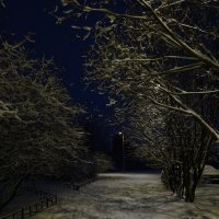 Снежный вечер! :: Андрей 