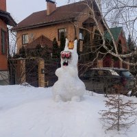 Современный снеговик))))) :: Андрей Андросов