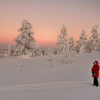 Одинокая фигурка на фоне снежного безмолвия. :: Ирина Нафаня