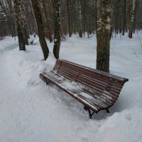 Такая, вот, весна весны :: Андрей Лукьянов