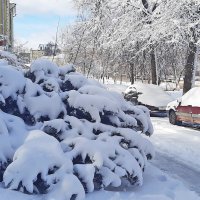 Зима вернулась! :: Елена Кирьянова