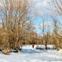 Современная Баба Яга. :: Восковых Анна Васильевна 