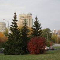 Екатеринбург октябрь :: Елена Шаламова