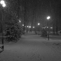 Снегопад в ночном парке. :: Андрей Андрианов