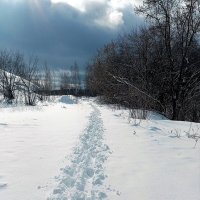 Зимний пейзаж. Следы оттуда. :: Анатолий Пашковский