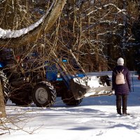 "Подвези нас, Петруша, на тракторе..." :: Юрий Куликов