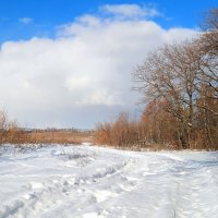 В весенний ясный день гулять, конечно, нам не лень! :: Андрей Заломленков (настоящий) 