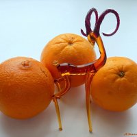 Сказка о трёх апельсинах... :: Андрей Заломленков (настоящий) 