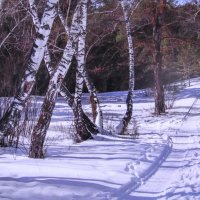 В лесу :: Людмила Смородинская