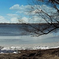 На Волге весна. :: Анатолий Уткин