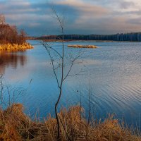 Родные просторы. :: Aleksey Afonin