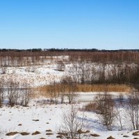 Придорожная полоса (репортаж из поездок по области). :: Милешкин Владимир Алексеевич 